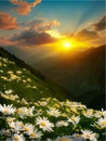 Spring landscape poppy field on background mountains with. Sunset sky, wildlife