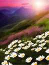 Spring landscape poppy field on background mountains with. Sunset sky, wildlife Royalty Free Stock Photo