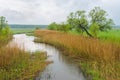 Spring landscape with river Merla in Ukraine Royalty Free Stock Photo