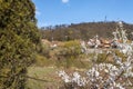 Spring landscape with the river Tarnava Mare in Sighisoara. Old houses with brick rooftops Royalty Free Stock Photo