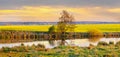 Spring landscape with river and yellow rapeseed field during sunset Royalty Free Stock Photo