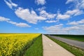 Spring landscape with a cyclist road and a rape field Royalty Free Stock Photo
