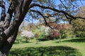 Spring Landscape In Rochester New York