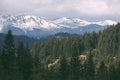 Spring landscape with snowbound mountains and spruce forest