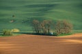 Spring landscape of South Moravia, Moravia, South Moravia, Czech Royalty Free Stock Photo