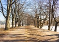 Spring landscape of St. Petersburg. Embankment of the river Bolshaya Nevka. Landmark of the city.