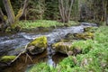 Spring landscape with stony river and forest