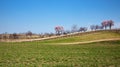 Spring landscape on a sunny day Royalty Free Stock Photo