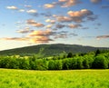 Spring landscape Royalty Free Stock Photo