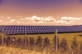 Spring landscape at sunset with solar panels Royalty Free Stock Photo