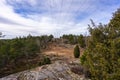 Spring landscape of the Swedish forest with evergreen trees and wild juniper. High voltage power line stretches across rocky hills
