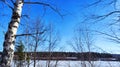 Spring landscape with tree with bare branches, river with ice, snow below on river and blue sky in the background in Royalty Free Stock Photo