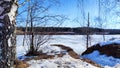 Spring landscape with tree with bare branches, river with ice, snow below on river and blue sky in the background in Royalty Free Stock Photo