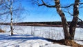 Spring landscape with tree with bare branches, river with ice, snow below on river and blue sky in the background in Royalty Free Stock Photo