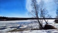 Spring landscape with tree with bare branches, river with ice, snow below on river and blue sky in the background in Royalty Free Stock Photo