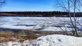 Spring landscape with tree with bare branches, river with ice, snow below on river and blue sky in the background in Royalty Free Stock Photo