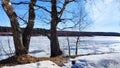 Spring landscape with tree with bare branches, river with ice, snow below on river and blue sky in the background in Royalty Free Stock Photo