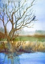 Spring landscape with a tree, a pond and a crow, watercolor Royalty Free Stock Photo