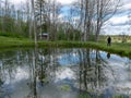 Spring landscape with tree silhouettes, green grass and a small pond, reflections of clouds and trees in the water Royalty Free Stock Photo