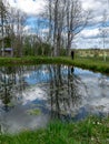 Spring landscape with tree silhouettes, green grass and a small pond, reflections of clouds and trees in the water Royalty Free Stock Photo