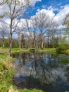 Spring landscape with tree silhouettes, green grass and a small pond, reflections of clouds and trees in the water Royalty Free Stock Photo