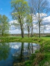 Spring landscape with tree silhouettes, green grass and a small pond, reflections of clouds and trees in the water Royalty Free Stock Photo