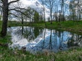 Spring landscape with tree silhouettes, green grass and a small pond, reflections of clouds and trees in the water Royalty Free Stock Photo