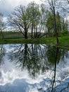 Spring landscape with tree silhouettes, green grass and a small pond, reflections of clouds and trees in the water Royalty Free Stock Photo