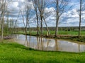 Spring landscape with tree silhouettes, green grass and a small pond, reflections of clouds and trees in the water Royalty Free Stock Photo