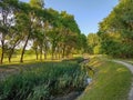 Spring landscape trees cloudy sky path grass green and blue color