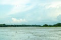 Spring landscape at the village by the rive with green fields, blue sky, and clouds Royalty Free Stock Photo