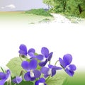 Spring landscape and Violets