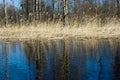 Spring landscape, Vuoksi river Royalty Free Stock Photo