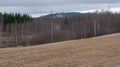 Spring Landscape with wheat Field under Clouds in central Sweden. selective focus Royalty Free Stock Photo