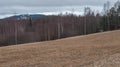 Spring Landscape with wheat Field under Clouds in central Sweden Royalty Free Stock Photo