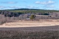 Spring Landscape with wheat Field under Clouds in central Sweden Royalty Free Stock Photo