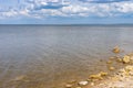 Landscape with wild beach on Kakhovka Reservoir located on the Dnipro River
