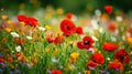 Spring landscape with wildflowers, cornflower, poppies and daisies among the grass, beautiful idyllic rural, countryside landscape