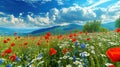 Spring landscape with wildflowers, cornflower, poppies and daisies among the grass, beautiful idyllic rural, countryside landscape