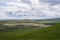 Wooded valley with fresh green foliage on a cloudy day.