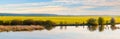 Spring landscape with yellow rapeseed field near the river during sunset, panorama Royalty Free Stock Photo