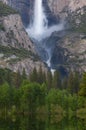 Spring Yosemite Falls Royalty Free Stock Photo