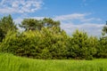 Spring landscape Royalty Free Stock Photo