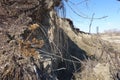 Spring landslide of a sandy ravine. Fallen trees. Spring landscape