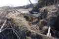 Spring landslide of a sandy ravine. Fallen trees. Spring landscape