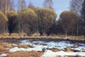 Spring last snow in the forest Royalty Free Stock Photo