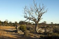 Spring late afternoon at Lake Magic, Hyden, WA, Australia Royalty Free Stock Photo