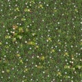 Spring Lawn with Asters. Seamless TileableTexture. Royalty Free Stock Photo