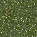 Spring Lawn with Asters. Seamless TileableTexture.