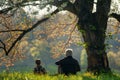 On the spring lawn, a father and son are sitting under a tree